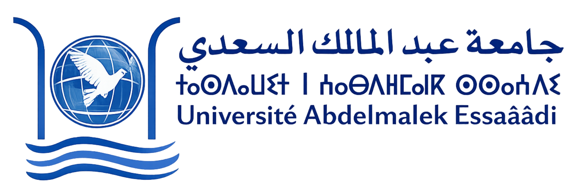 Université Abdelmalek Saadi
